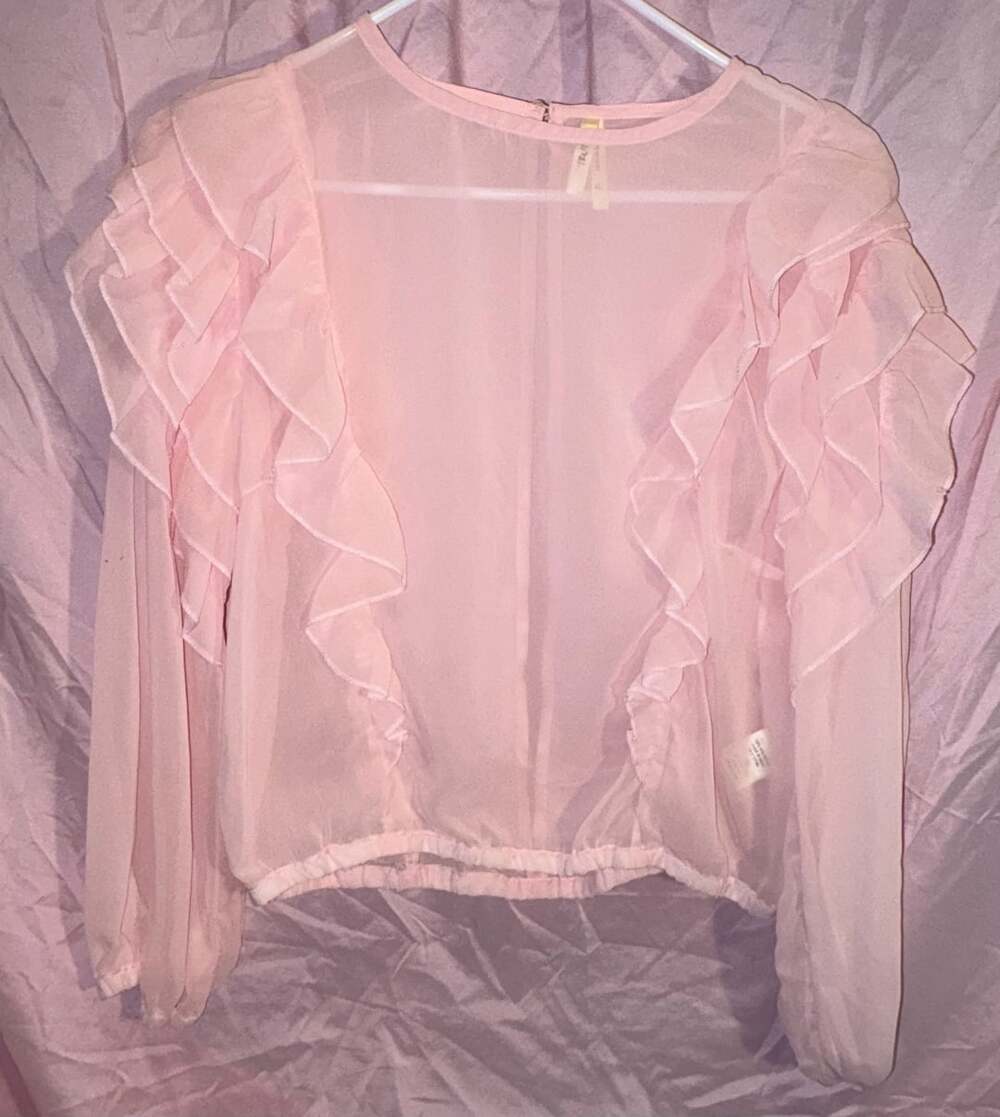 Truth NYC Pink Sheer Ruffle Long Sleeve Blouse Top Size XL